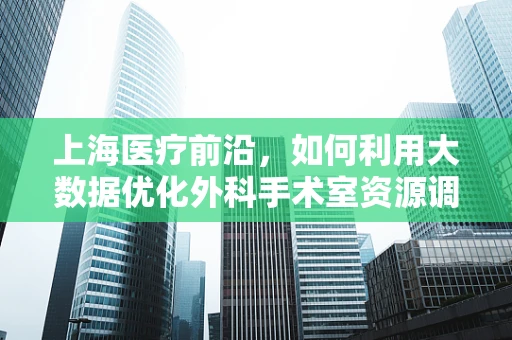 上海医疗前沿，如何利用大数据优化外科手术室资源调配？