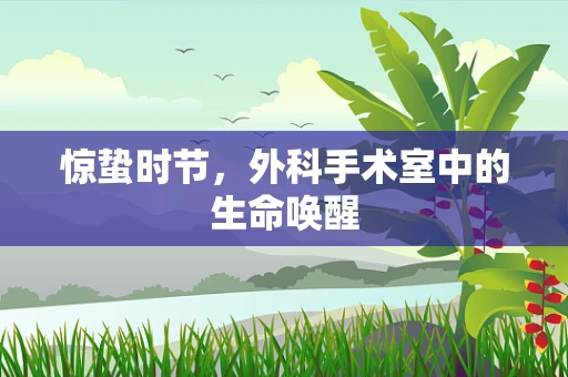 惊蛰时节，外科手术室中的生命唤醒