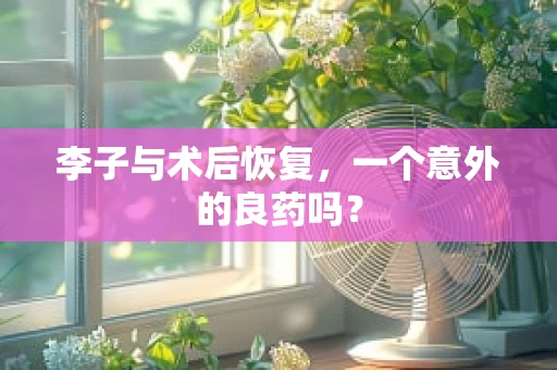 李子与术后恢复，一个意外的良药吗？