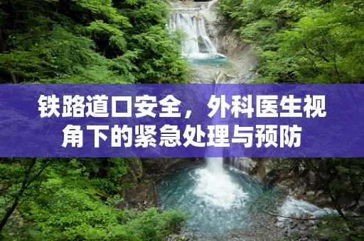 铁路道口安全，外科医生视角下的紧急处理与预防