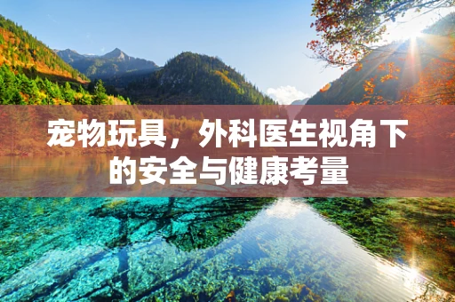 宠物玩具，外科医生视角下的安全与健康考量