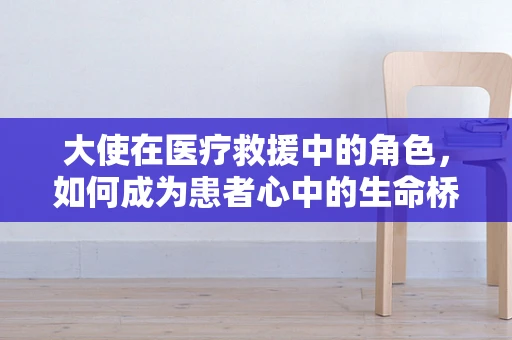 大使在医疗救援中的角色，如何成为患者心中的生命桥梁？