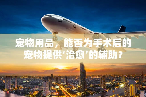 宠物用品，能否为手术后的宠物提供‘治愈’的辅助？