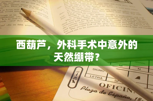 西葫芦，外科手术中意外的天然绷带？