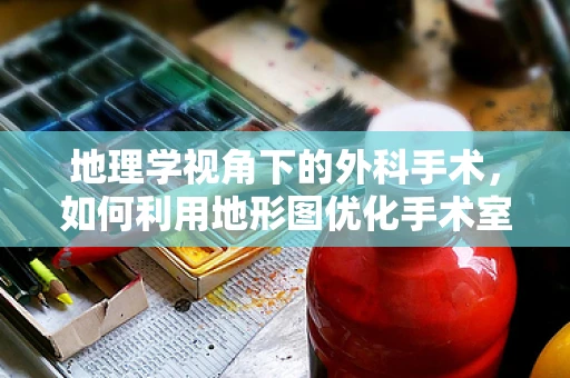 地理学视角下的外科手术，如何利用地形图优化手术室布局？