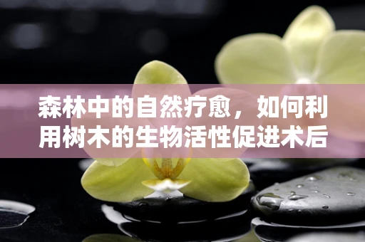 森林中的自然疗愈，如何利用树木的生物活性促进术后恢复？