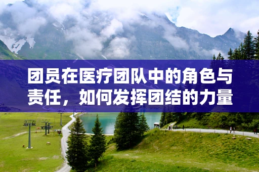 团员在医疗团队中的角色与责任，如何发挥团结的力量？