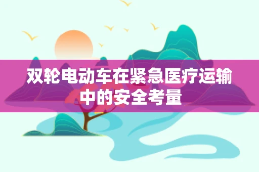 双轮电动车在紧急医疗运输中的安全考量