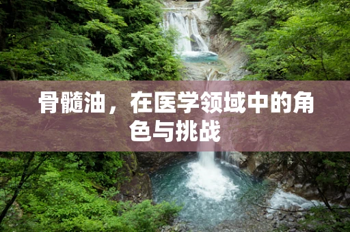 骨髓油，在医学领域中的角色与挑战