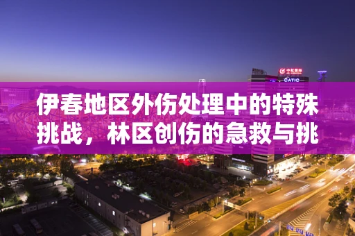 伊春地区外伤处理中的特殊挑战，林区创伤的急救与挑战