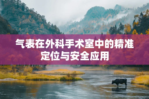 气表在外科手术室中的精准定位与安全应用
