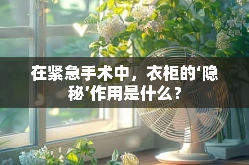 在紧急手术中，衣柜的‘隐秘’作用是什么？