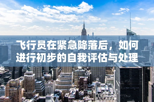 飞行员在紧急降落后，如何进行初步的自我评估与处理？