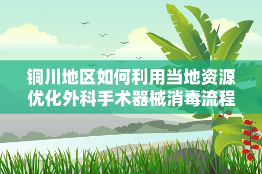 铜川地区如何利用当地资源优化外科手术器械消毒流程？
