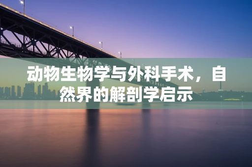 动物生物学与外科手术，自然界的解剖学启示