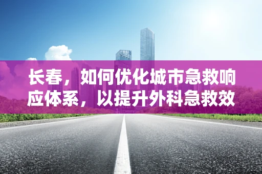 长春，如何优化城市急救响应体系，以提升外科急救效率？