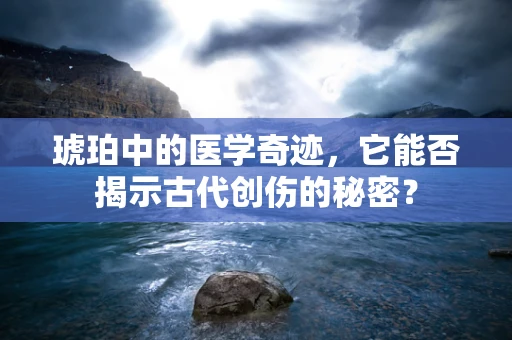 琥珀中的医学奇迹，它能否揭示古代创伤的秘密？