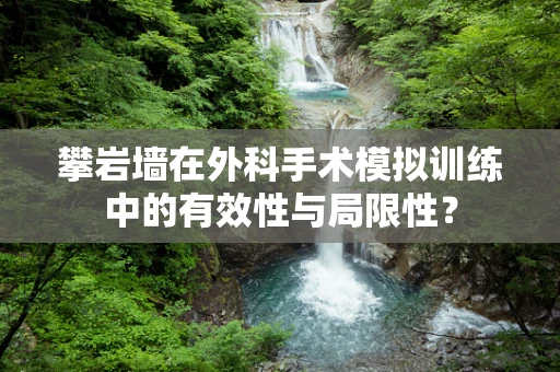 攀岩墙在外科手术模拟训练中的有效性与局限性？