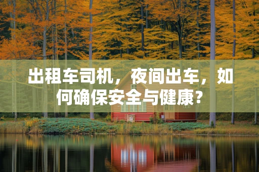 出租车司机，夜间出车，如何确保安全与健康？