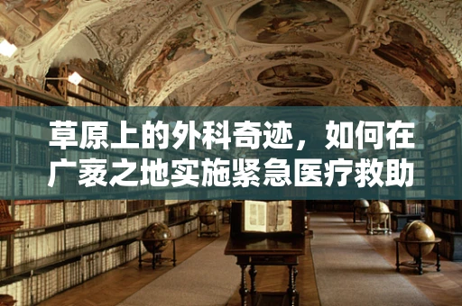 草原上的外科奇迹，如何在广袤之地实施紧急医疗救助？