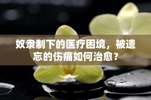 奴隶制下的医疗困境，被遗忘的伤痛如何治愈？