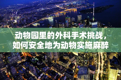 动物园里的外科手术挑战，如何安全地为动物实施麻醉？