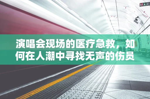 演唱会现场的医疗急救，如何在人潮中寻找无声的伤员？