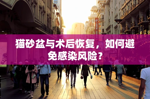 猫砂盆与术后恢复，如何避免感染风险？