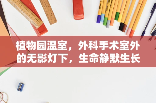 植物园温室，外科手术室外的无影灯下，生命静默生长的奇迹？