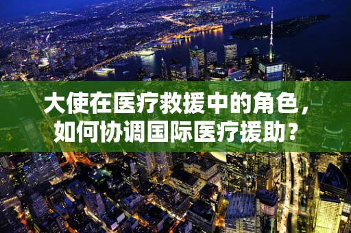大使在医疗救援中的角色，如何协调国际医疗援助？
