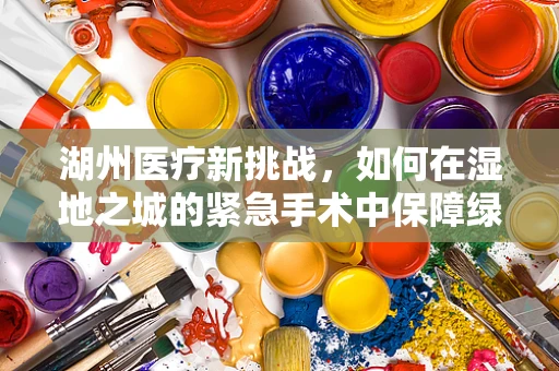 湖州医疗新挑战，如何在湿地之城的紧急手术中保障绿色安全？