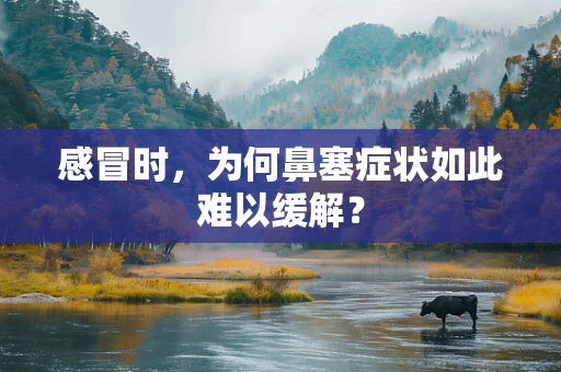 感冒时，为何鼻塞症状如此难以缓解？