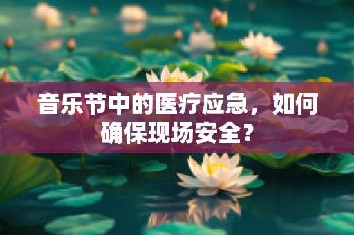 音乐节中的医疗应急，如何确保现场安全？