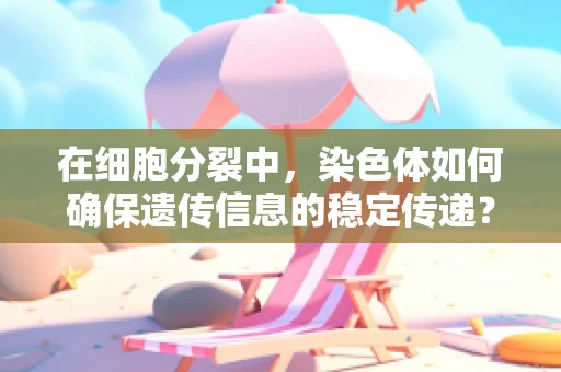 在细胞分裂中，染色体如何确保遗传信息的稳定传递？