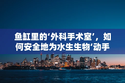 鱼缸里的‘外科手术室’，如何安全地为水生生物‘动手术’？