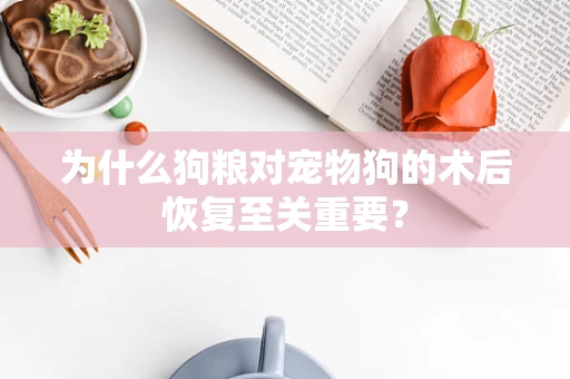 为什么狗粮对宠物狗的术后恢复至关重要？