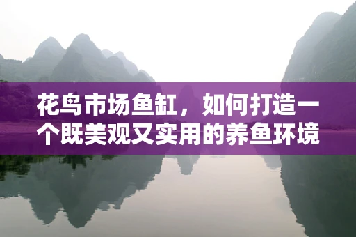 花鸟市场鱼缸，如何打造一个既美观又实用的养鱼环境？
