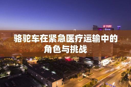 骆驼车在紧急医疗运输中的角色与挑战