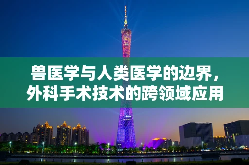 兽医学与人类医学的边界，外科手术技术的跨领域应用