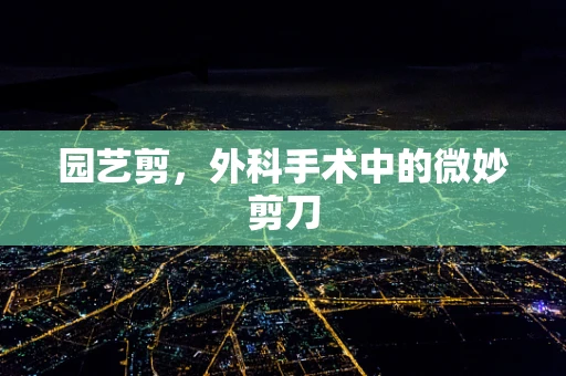 园艺剪，外科手术中的微妙剪刀
