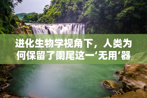 进化生物学视角下，人类为何保留了阑尾这一‘无用’器官？