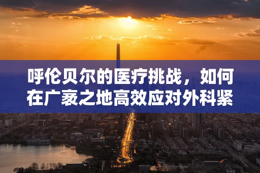 呼伦贝尔的医疗挑战，如何在广袤之地高效应对外科紧急情况？