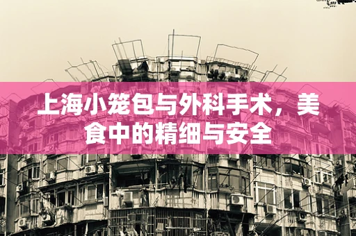 上海小笼包与外科手术，美食中的精细与安全