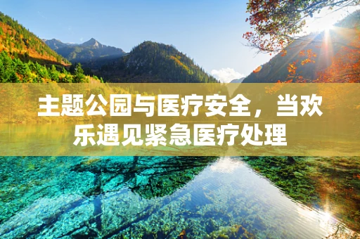 主题公园与医疗安全，当欢乐遇见紧急医疗处理