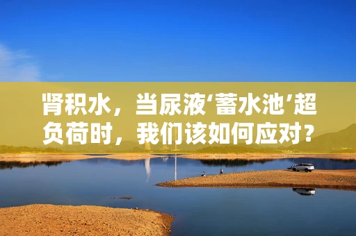 肾积水，当尿液‘蓄水池’超负荷时，我们该如何应对？