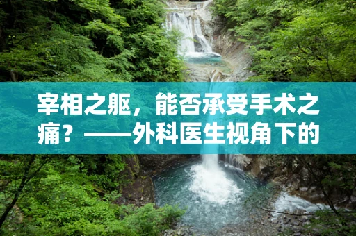 宰相之躯，能否承受手术之痛？——外科医生视角下的历史权衡
