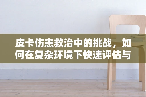 皮卡伤患救治中的挑战，如何在复杂环境下快速评估与干预？