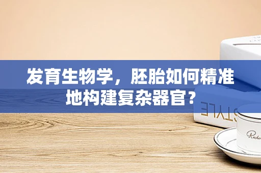发育生物学，胚胎如何精准地构建复杂器官？