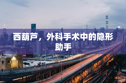 西葫芦，外科手术中的隐形助手