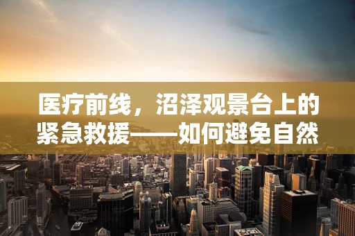 医疗前线，沼泽观景台上的紧急救援——如何避免自然陷阱的医疗风险？